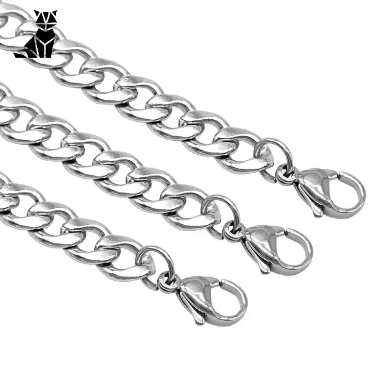 Des bracelets en chaîne argentés sont affichés sur le collier personnalisé pour chat