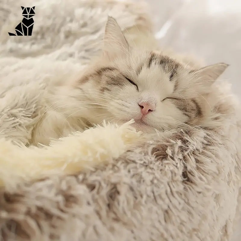 Cozy Cat Bed - Lit douillet aux animaux