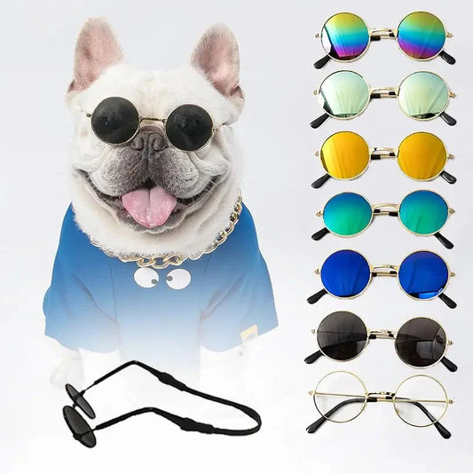 Chien portant des lunettes de soleil et une chemise bleue de Sunglasses for Dogs : SFP Accessories for Animals